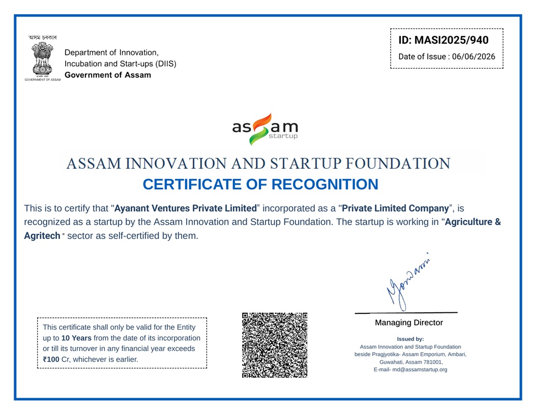 Award / recognition 4